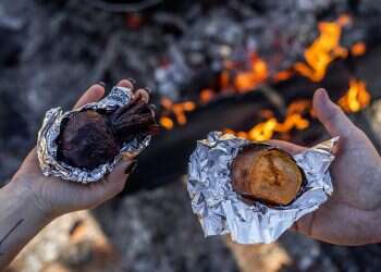 AI model shows human ancestors used fire 800,000 years ago