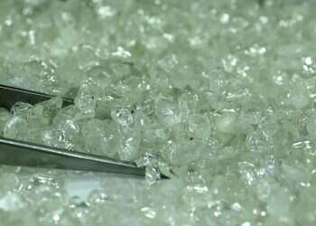 How did a bag of diamonds end up in a recycling plant?
