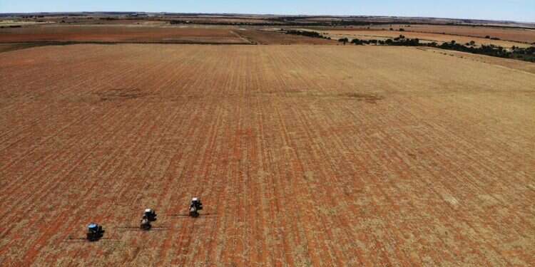 EU: Blame Russia, not sanctions, for global food crisis