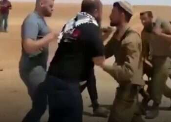 Far-left activists disrupt IDF live-fire drill in Hebron Hills