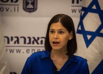 Energy minister to talk gas sales with el-Sissi, EU officials in Egypt