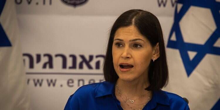 Energy minister to talk gas sales with el-Sissi, EU officials in Egypt