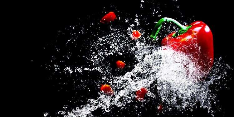 Tel Aviv hosts world's biggest vegan food festival