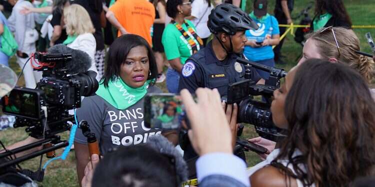 Jewish groups slam Rep. Cori Bush for support by woman who aims to 'set Israel on fire'