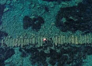 New underwater archaeology park in Cyprus lets visitors swim among ruins