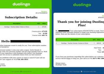 Israeli cybersecurity researchers: New phishing scam mimics language learning apps  