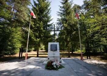 Remains of 8,000 Nazi war victims found in Poland