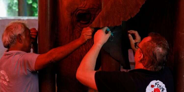 Veterinarians perform dental procedure of a 16 year-old elephant, Madhubala, at the zoo in Karachi, Pakistan, Aug. 17, 2022 Elephant in Pakistan gets relief after years of dental pain