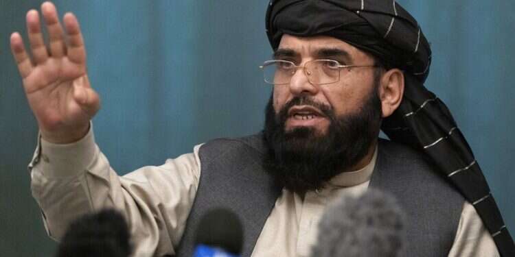 Taliban plays innocent about al-Qaida leader's presence in Kabul