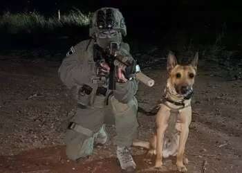 'He saved our lives:' Counterterrorism unit bids farewell to hero dog