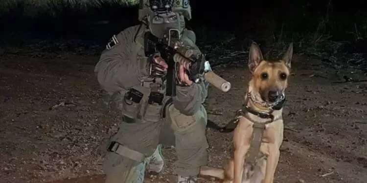 The canine Zili 'He saved our lives:' Counterterrorism unit bids farewell to hero dog