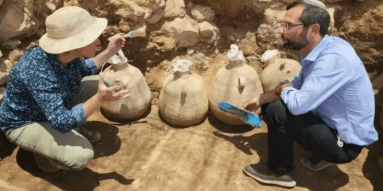 Great jugs! 5 Talmudic-era storage vessels unearthed in Shiloh