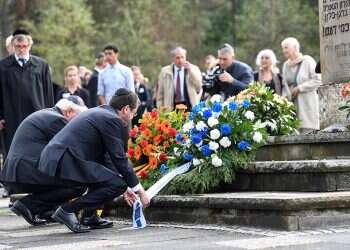 'Israel and Germany must act together to protect Jewish national home'