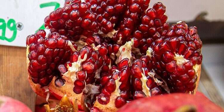 Rosh Hashanah meals become feeding frenzy for retailers