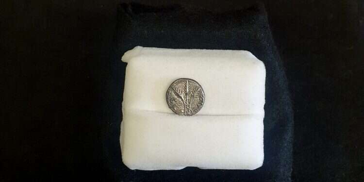 Israel to get rare coin minted by Jews 'as show of independence' against Rome