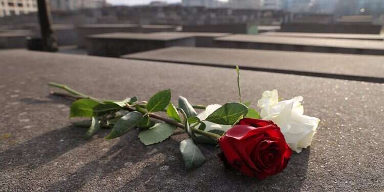 Roses lie at the Memorial to the Murdered Jews of Europe, also known as the Holocaust Memorial, on January 19, 2022 in Berlin, Germany Holocaust survivors offered DNA tests to help find family