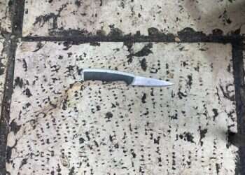 Officers in capital wounded after confronting Palestinian terrorist