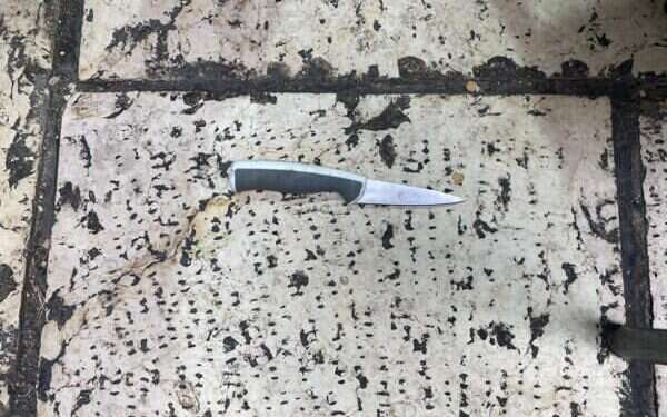 Police officers wounded after confronting Palestinian terrorist, prevent larger attack