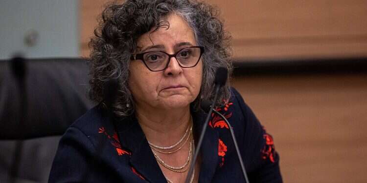 Herzog blasts Arab lawmaker over pro-terrorist remarks