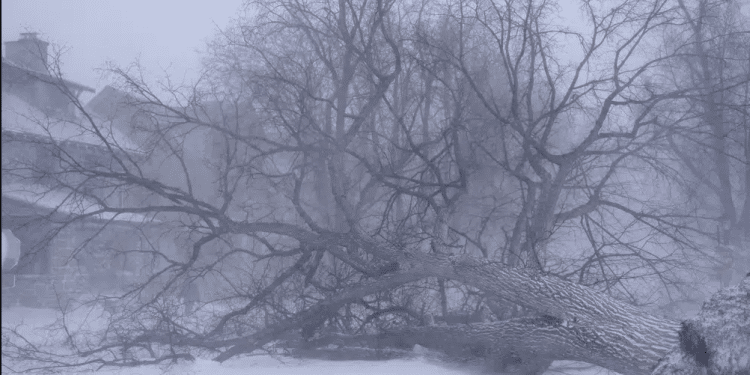 18 die as monster storm hits US