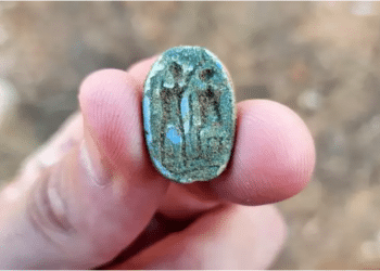 3,000-year-old scarab found in Israel during school field trip