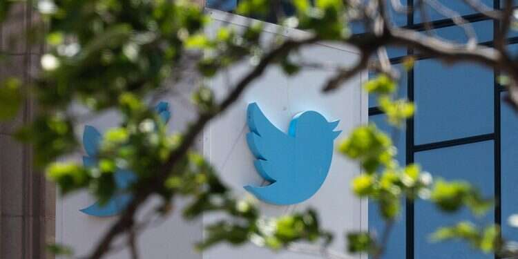Twitter relaunching subscriber service after debacle