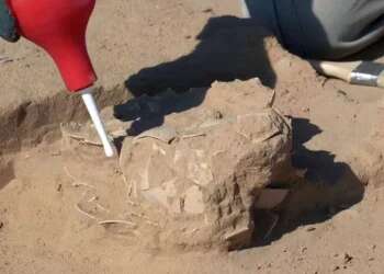 Ancient ostrich eggs found in Israel shed light on early humans