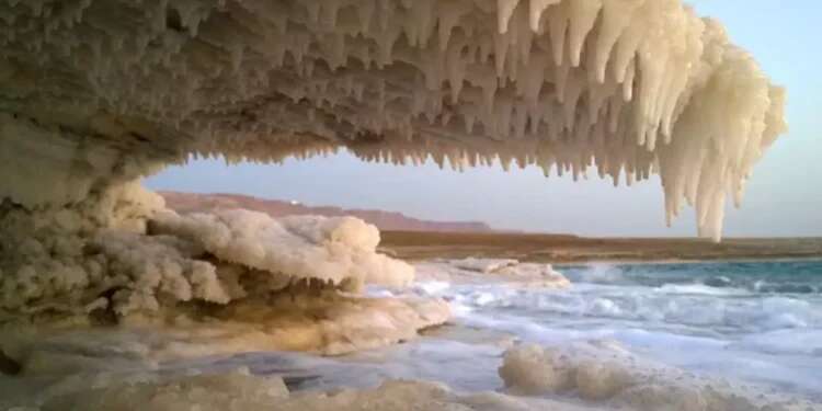 NGO crowdfunding campaign aims to save Dead Sea