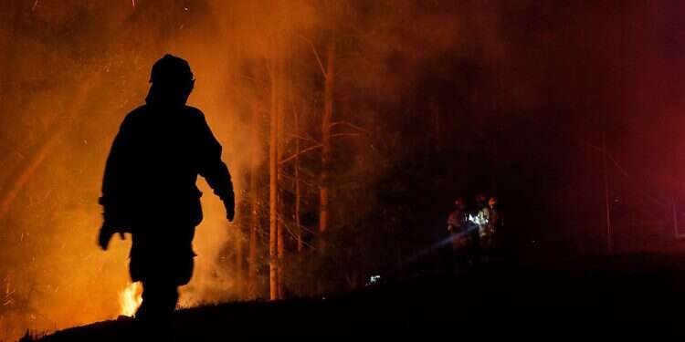 Wildfires threaten animal life in Chile