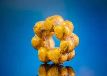 'Very exciting': Volunteer uncovers rare ancient gold bead during Jerusalem sifting project