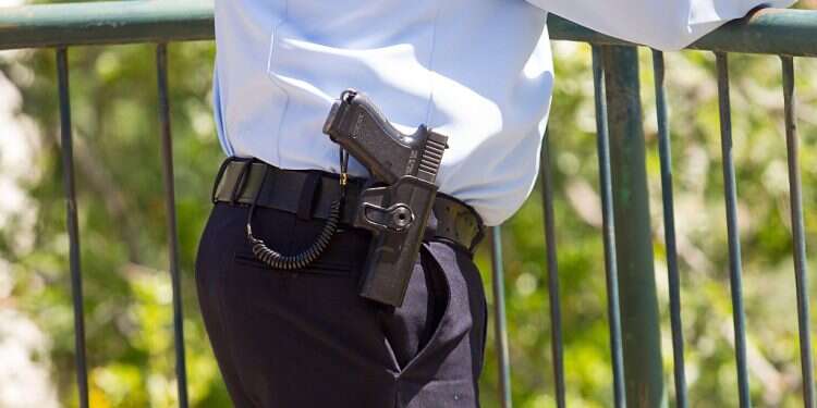 In wake of growing terrorism, Ben-Gvir pledges major increase in gun permits