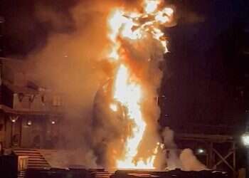 Disneyland dragon catches fire in California