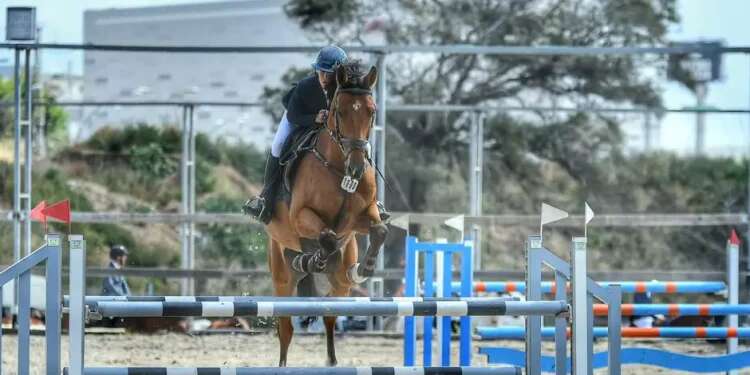 National team horse poisoning raises suspicions of terrorism