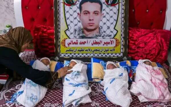 A picture claiming to show the four children born after semen was smuggled from Gaza. Pictured above: Ahmad Shamali Minister outraged after terrorist smuggles semen to Gaza, wife gives birth to quadruplets