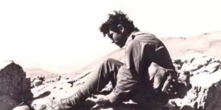 I was never old: Yoni Netanyahu's letters 47 years later