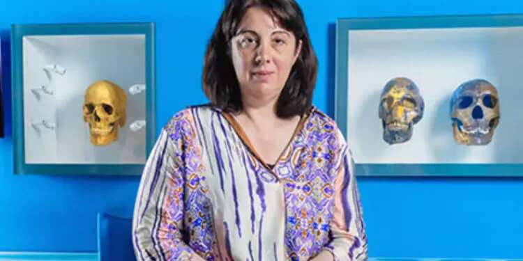 The surprising diet of early humans: Scholar drills into thousands of years of dental plaque