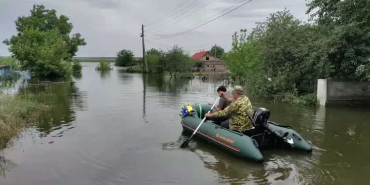 'The invasion was a tragedy, but this is a crime for which I have no name'