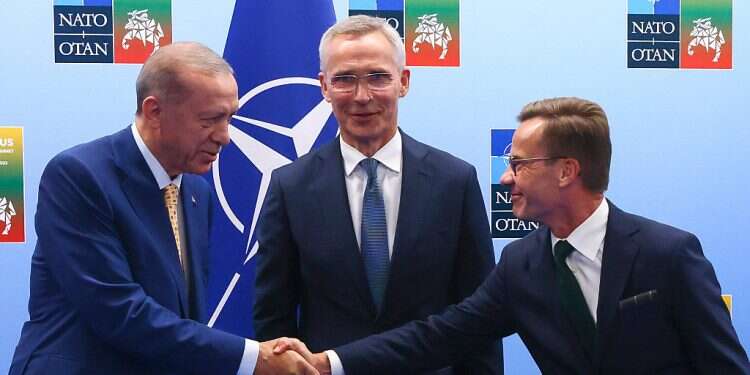 Sweden poised to join NATO after deal struck with Turkey