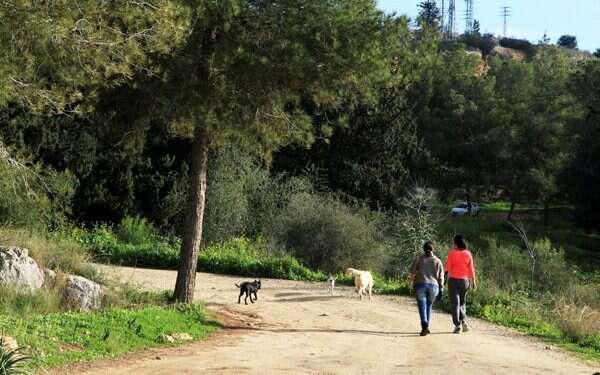 Ahead of International Dog Day, KKL-JNF publishes list of hikes to visit with pet