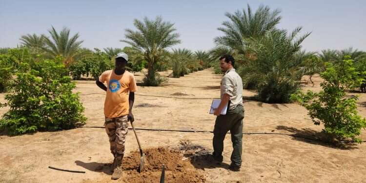 KKL-JNF date agriculture delegation completes work in Chad