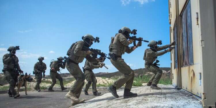 'IDF is prepared for any challenge in next 2 months,' official assures