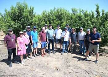 Swedish parliament delegation concludes visit to Israel