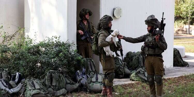An Israeli soldier pets a rescued dog near a bomb shelter in Kibbutz Kfar Aza, in southern Israel, October 10, 2023 Foreign press see horrific aftermath in visit to kibbutz taken over by Hamas