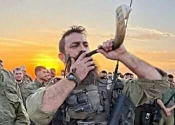 I did not turn back till I destroyed them