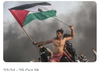 Wrestling star's 'likes' of antisemitic posts causes firestorm – but no sanctions from WWE