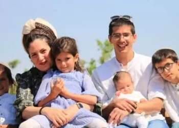 'If you are reading these words, something probably happened to me'