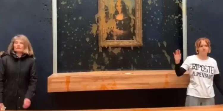 Protesters throw soup at da Vinci's Mona Lisa