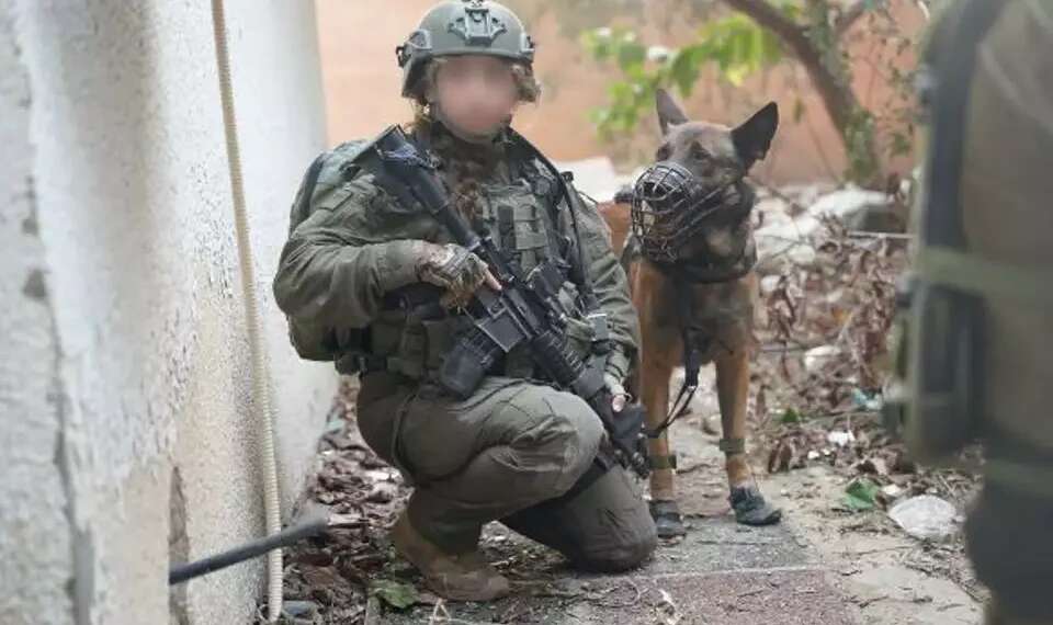 An IDF soldier with a canine during the Gaza fighting in 2024 A moving tribute: Commemorating the fallen canines of the Gaza war