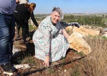 Irish ambassador plants tree in Israel 'to remind us that peace is what unites us'