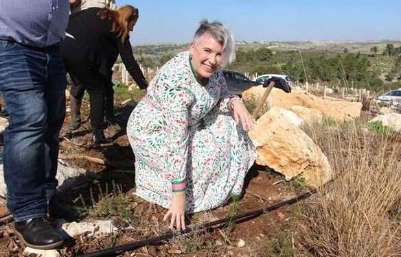 Irish ambassador plants tree in Israel 'to remind us that peace is what unites us'